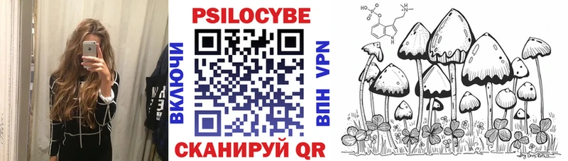 Псилоцибиновые грибы мицелий  Сунжа 